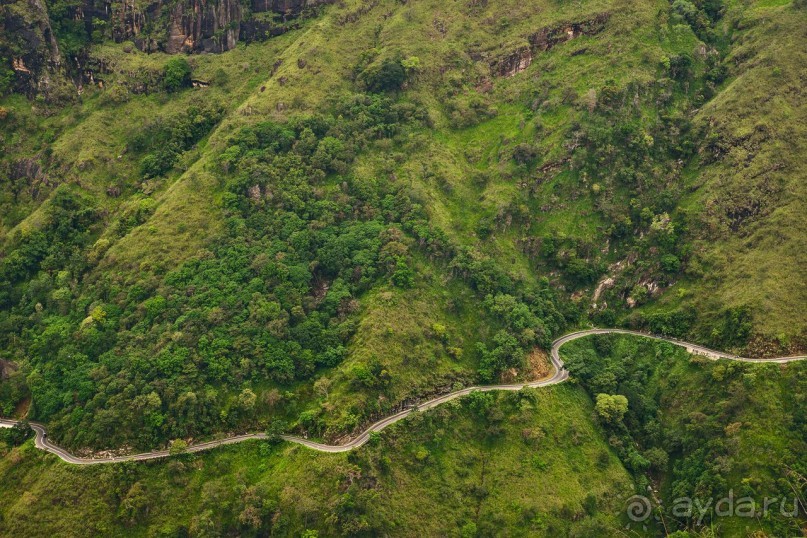 Зоопарк без клеток - Африка