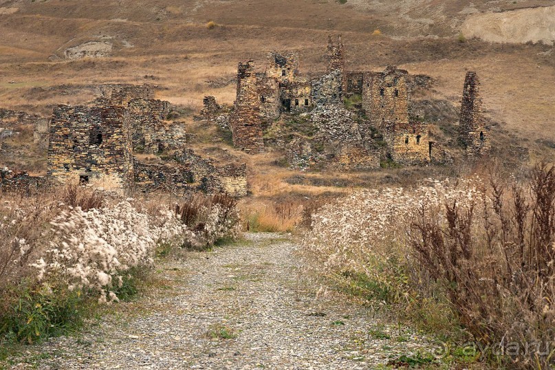 Зоопарк без клеток - Африка