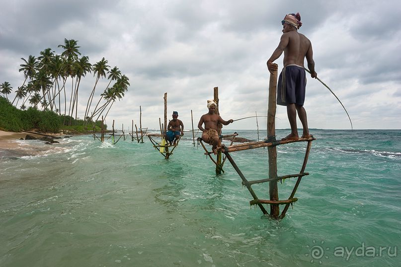 Зоопарк без клеток - Африка