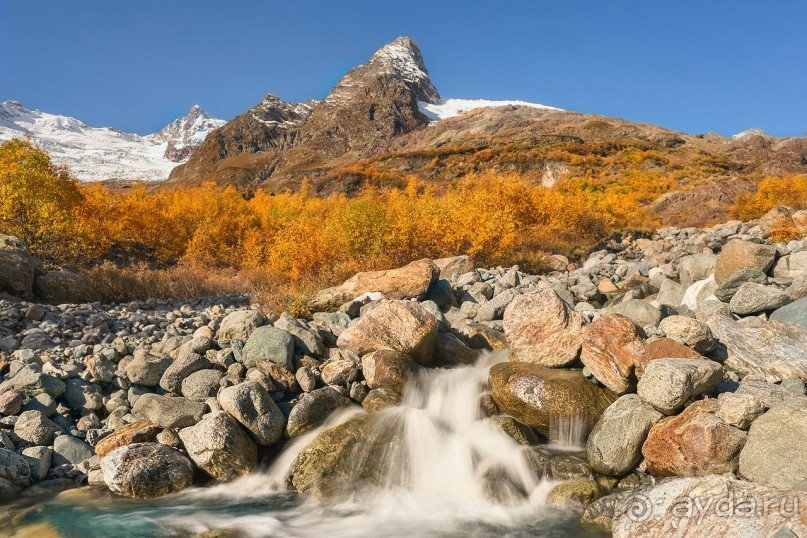 Зоопарк без клеток - Африка