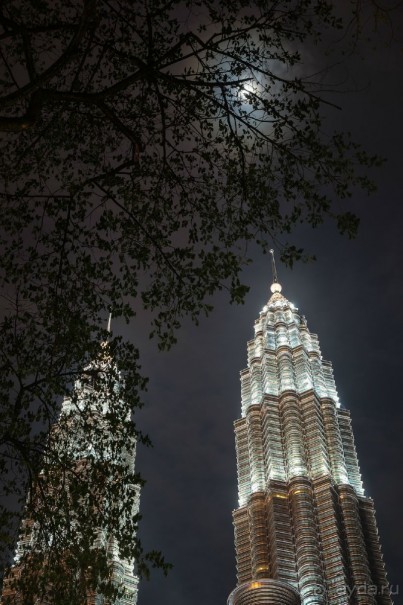 Зоопарк без клеток - Африка