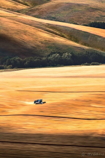 Зоопарк без клеток - Африка