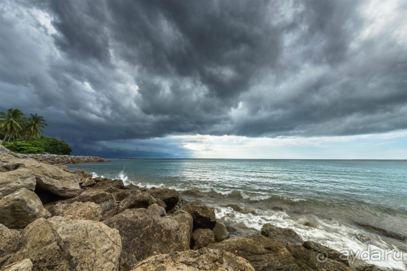 Зоопарк без клеток - Африка