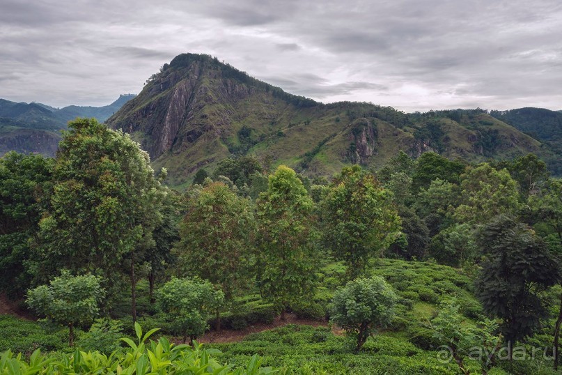 Зоопарк без клеток - Африка