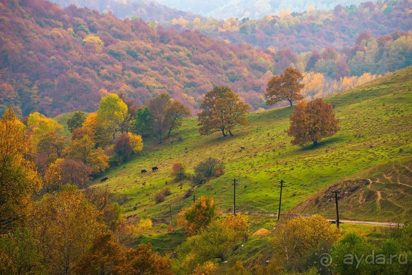 Зоопарк без клеток - Африка