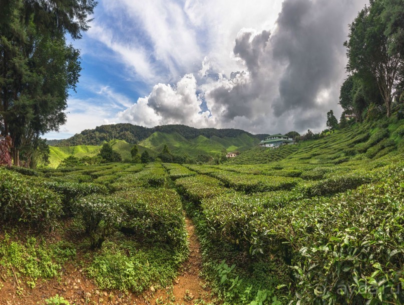 Зоопарк без клеток - Африка