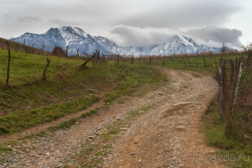 Зоопарк без клеток - Африка