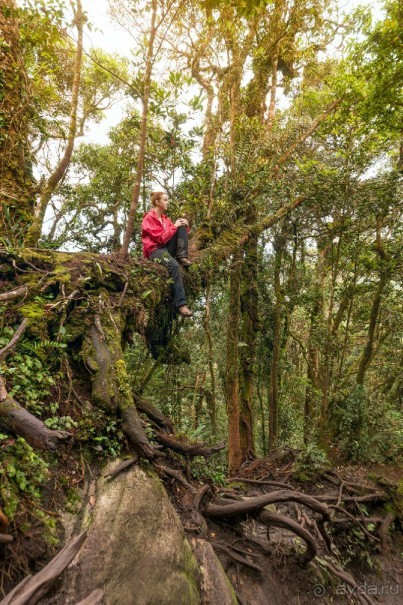 Зоопарк без клеток - Африка