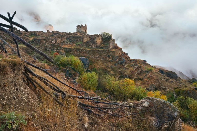 Зоопарк без клеток - Африка