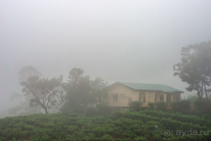 Зоопарк без клеток - Африка