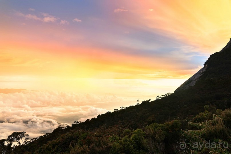 Зоопарк без клеток - Африка