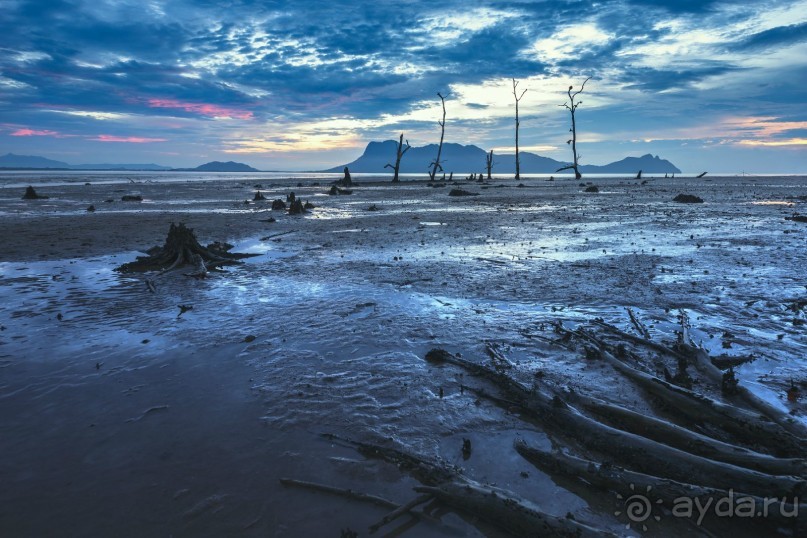 Зоопарк без клеток - Африка