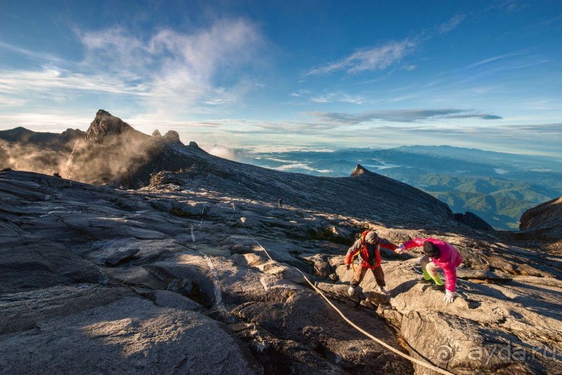 Зоопарк без клеток - Африка