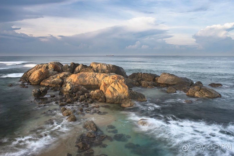 Зоопарк без клеток - Африка