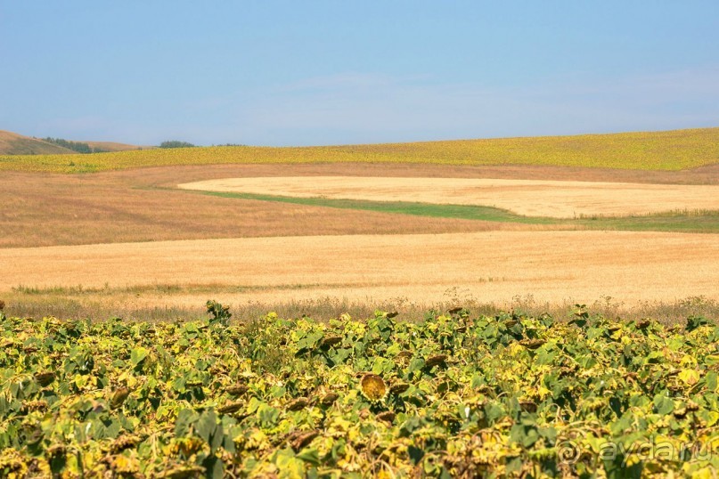 Зоопарк без клеток - Африка