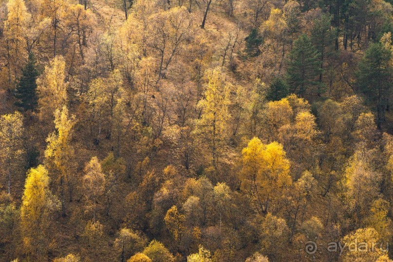 Зоопарк без клеток - Африка