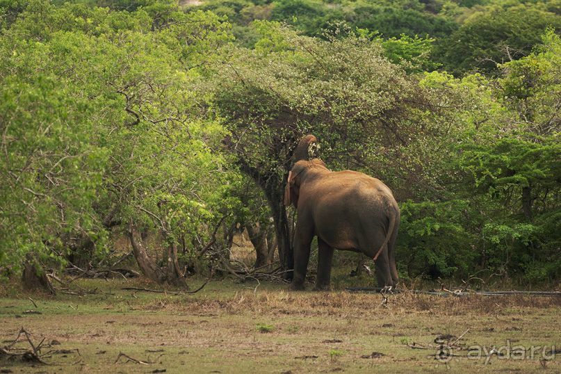 Зоопарк без клеток - Африка