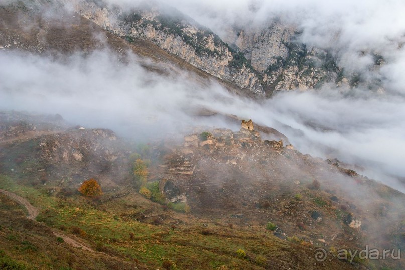 Зоопарк без клеток - Африка