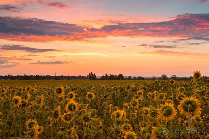 Зоопарк без клеток - Африка