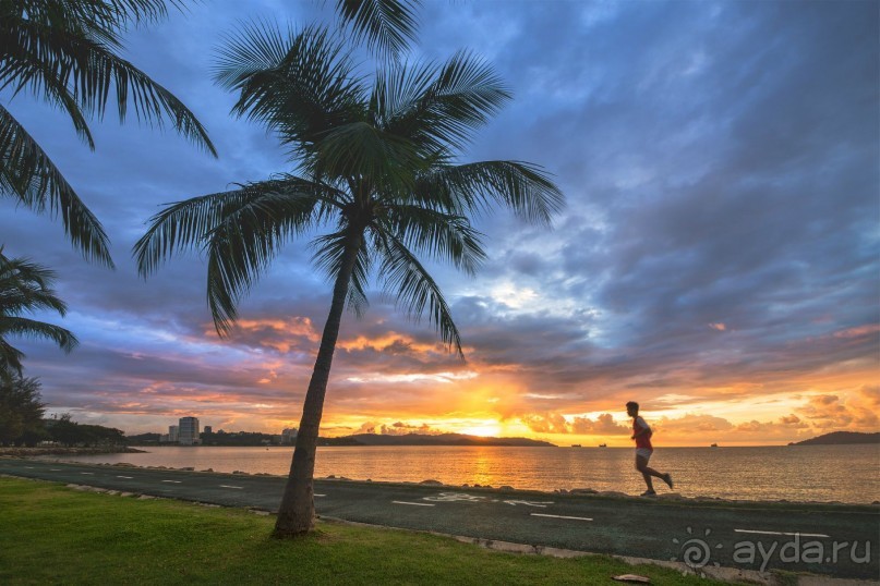 Зоопарк без клеток - Африка