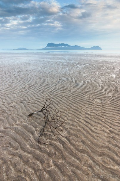 Зоопарк без клеток - Африка