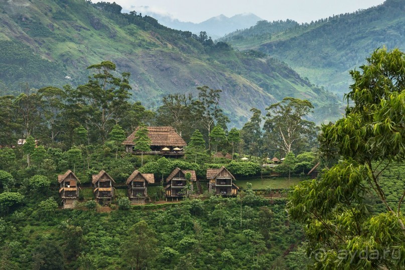 Зоопарк без клеток - Африка