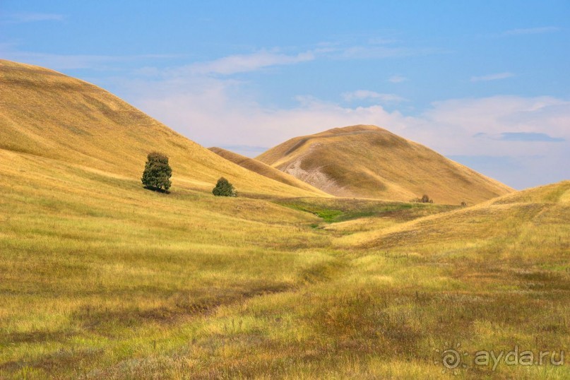 Зоопарк без клеток - Африка