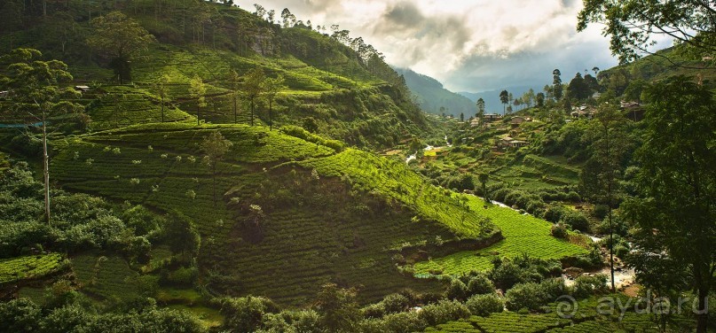 Зоопарк без клеток - Африка