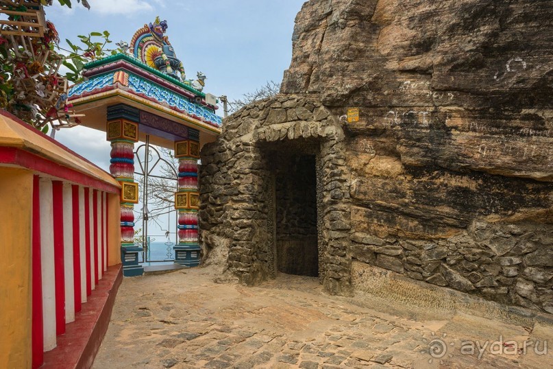 Зоопарк без клеток - Африка