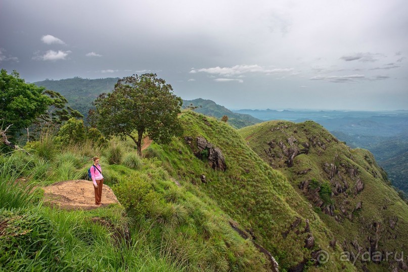 Зоопарк без клеток - Африка