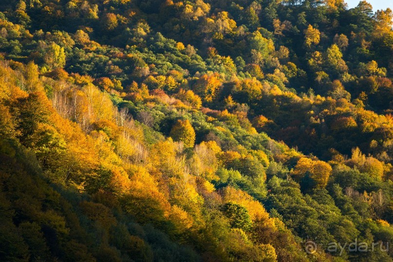 Зоопарк без клеток - Африка