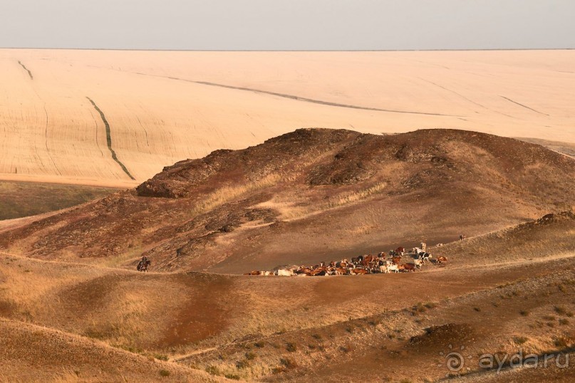 Зоопарк без клеток - Африка
