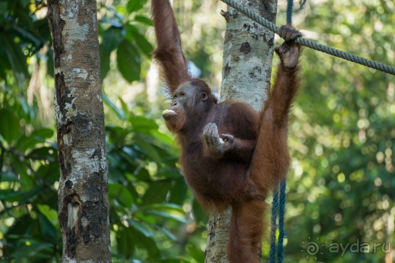Зоопарк без клеток - Африка