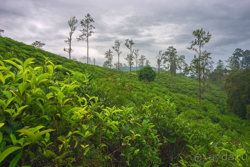 Зоопарк без клеток - Африка