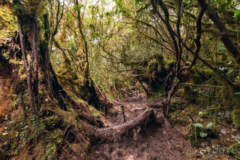 Зоопарк без клеток - Африка