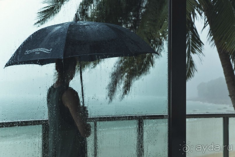 Зоопарк без клеток - Африка