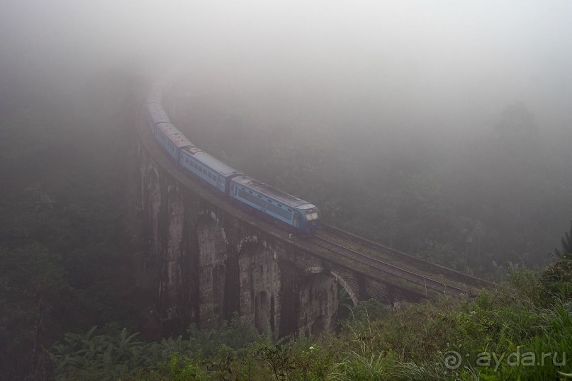 Зоопарк без клеток - Африка