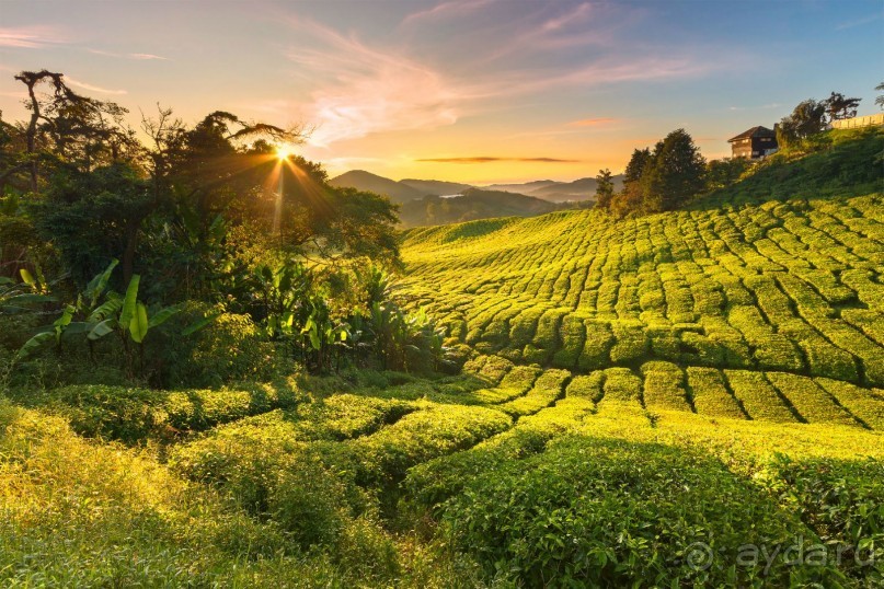 Зоопарк без клеток - Африка