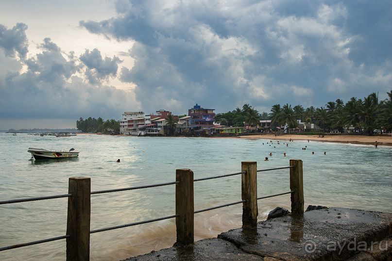 Зоопарк без клеток - Африка