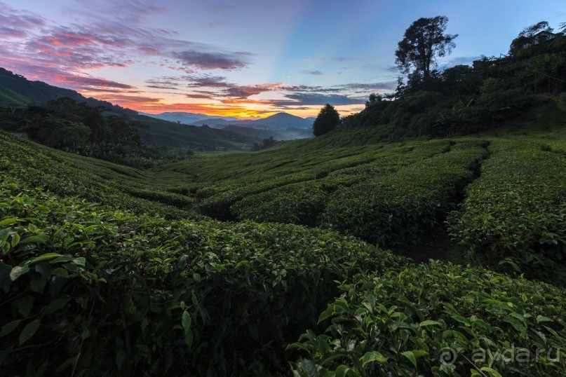 Зоопарк без клеток - Африка