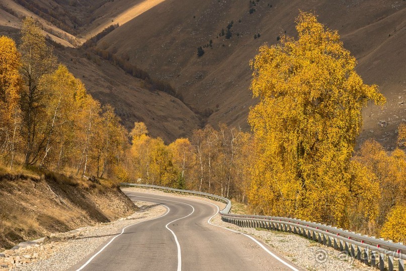 Зоопарк без клеток - Африка