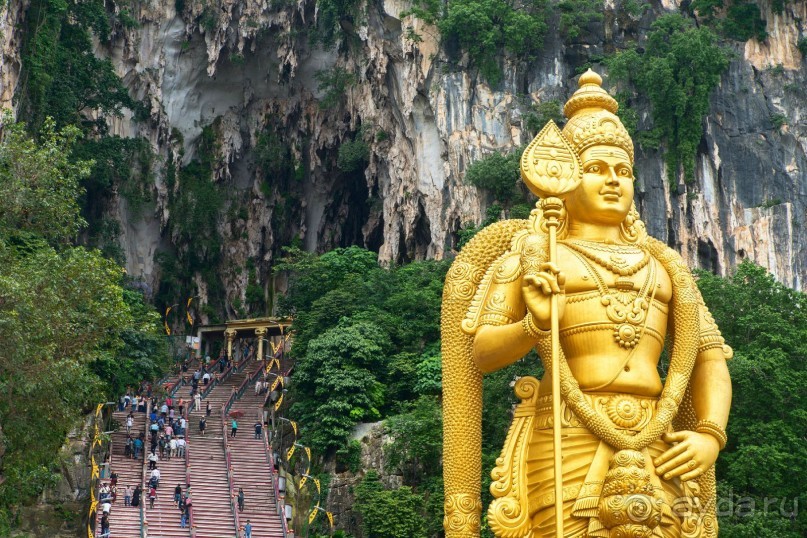 Альбом отзыва "Зоопарк без клеток - Африка"