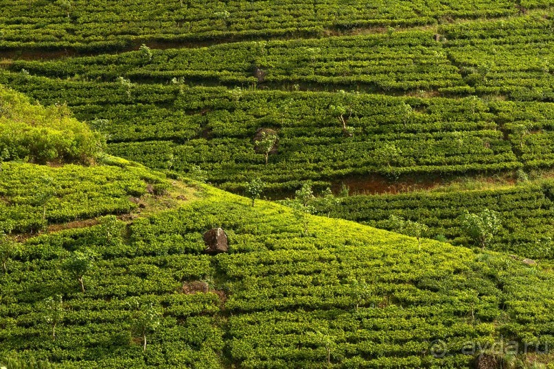 Зоопарк без клеток - Африка