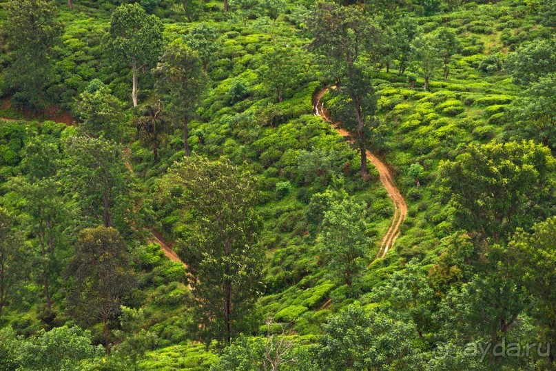Зоопарк без клеток - Африка