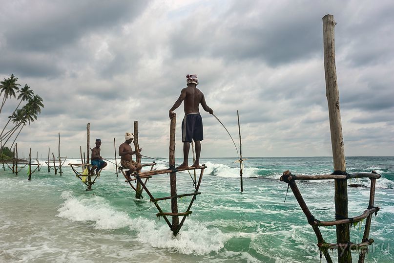 Зоопарк без клеток - Африка