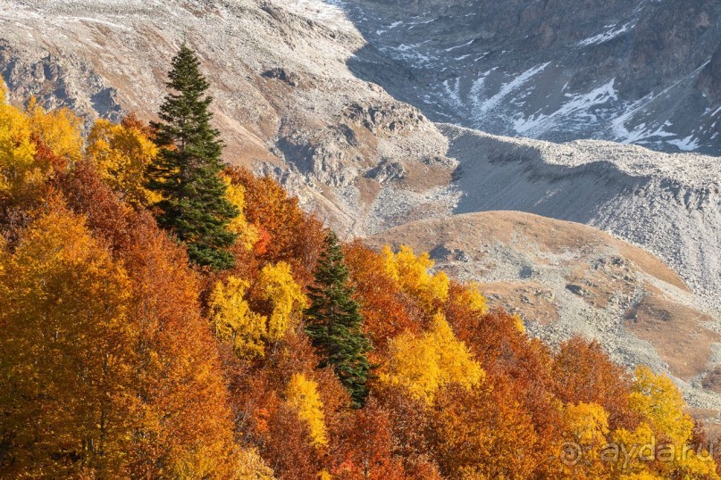 Зоопарк без клеток - Африка