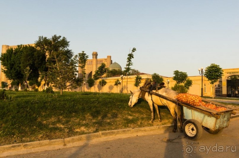 Самарканд в картинках