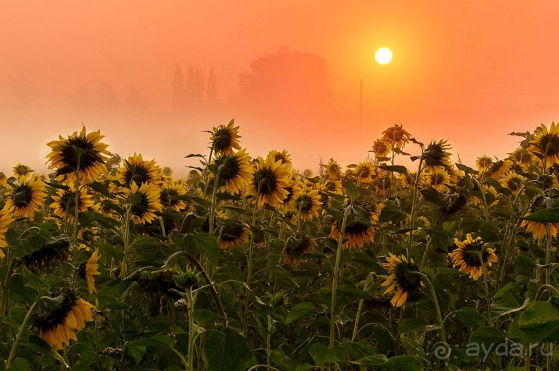 Шиханы - поход на дно древнего моря
