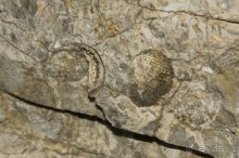 Шиханы - поход на дно древнего моря