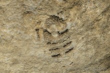 Шиханы - поход на дно древнего моря